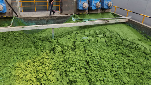 From Algae Blooms to Eco-Boons: Exploring BLOOM Sustainable Materials and the Making of Our Bestselling Mariner Mat