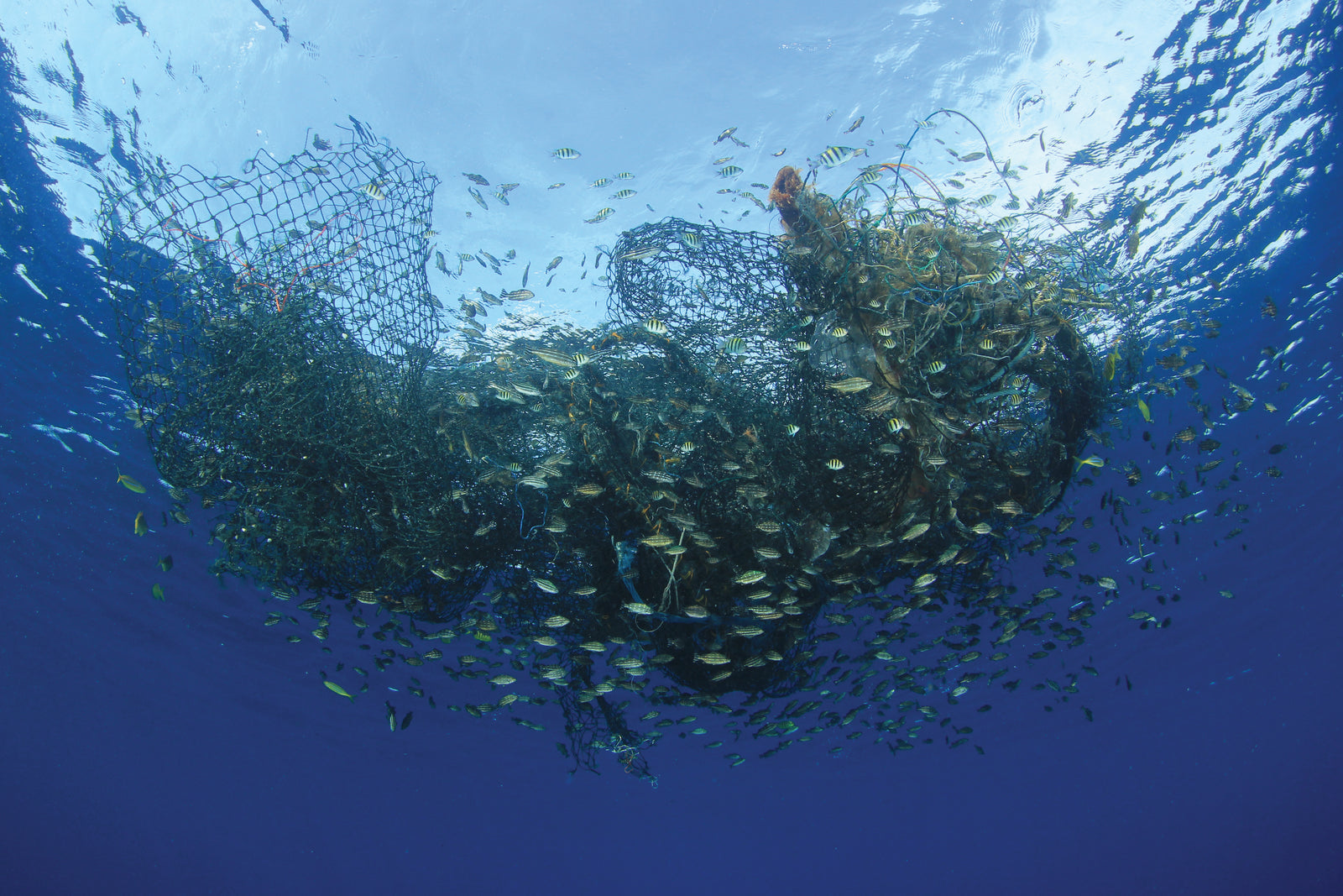 Turning Recycled Fishing Nets Into Products [Eco-Friendly Product