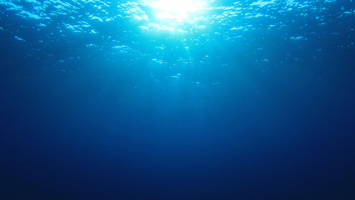 Impact – Clean Ocean Designs